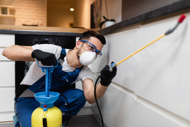 Best Cockroach Control Services  in Milton, NY