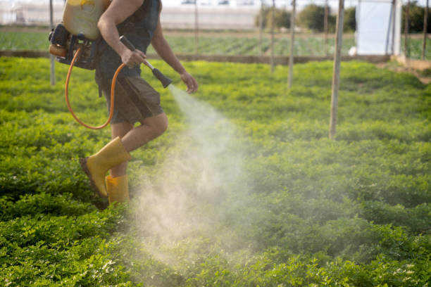 Best Best Pest Control Companies  in Milton, NY