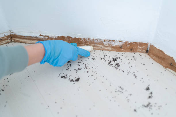 Best Pest Inspection Near Me  in Milton, NY