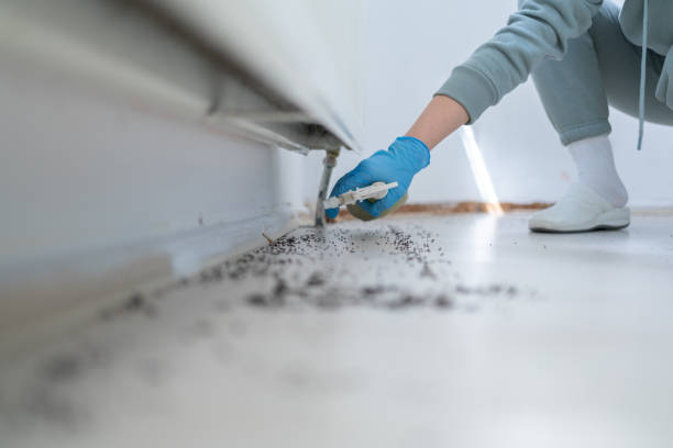 Best Flea Control Services  in Milton, NY